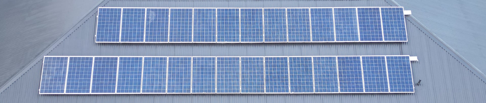 solar panels and antenna bird proofing