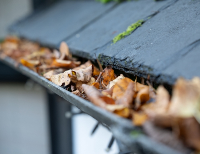 gutter-cleaning-2
